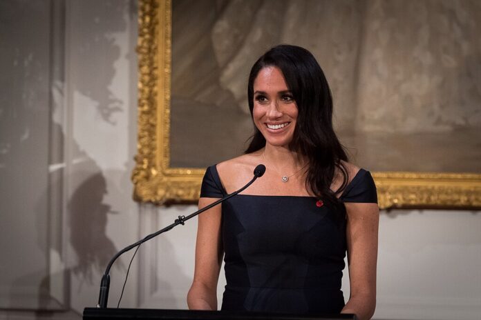 Meghan Markle’s ‘Lost Spark’ Moment from 2018 Remembrance
