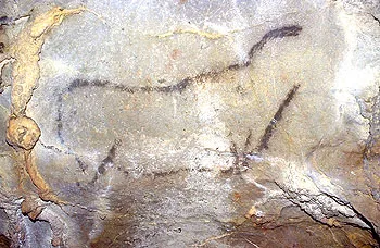 LA Garma