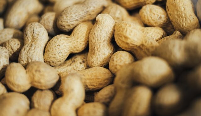 Peanut Allergy in Adults: Study Offers Hope for Severe Cases