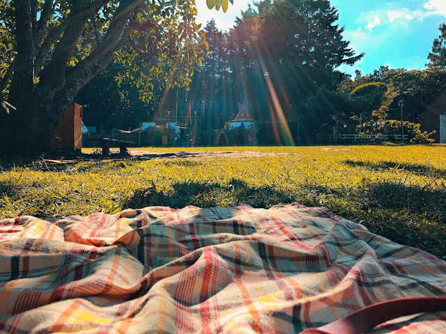 3 Summer Picnic Side Dishes That Could Harm Your Health