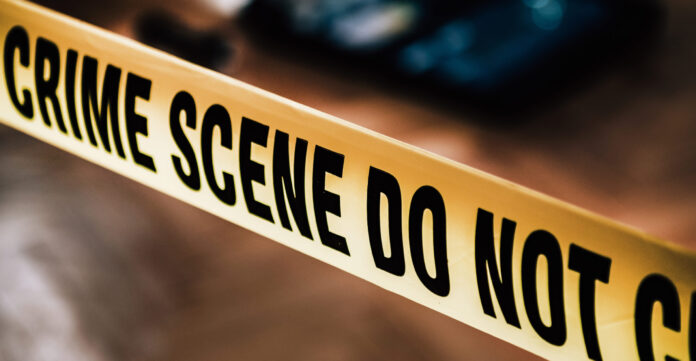 Streatham Pensioner, 85, Murdered in Own Home – Man Arrested