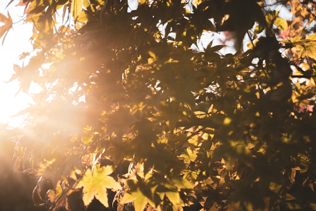 When Will Warmer Weather Arrive? Forecast and Predictions