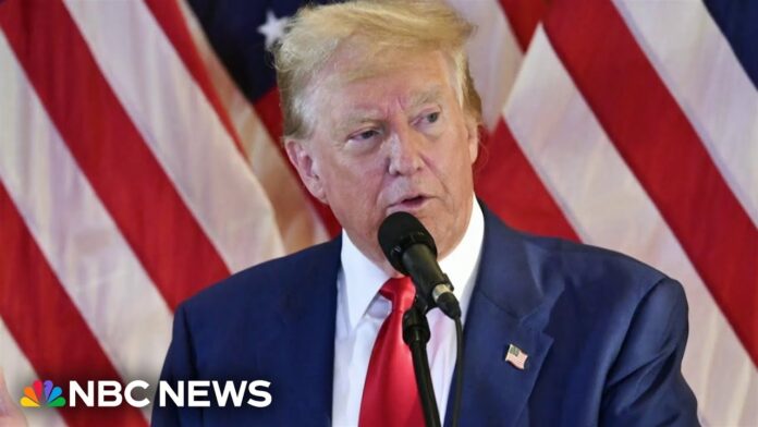 Georgia Court Halts Election Subversion Case Against Donald Trump