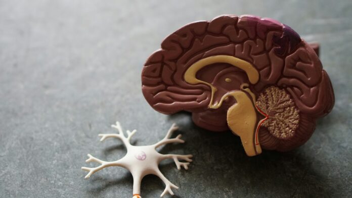 Jennings Family Inspires Breakthrough in Alzheimer's Research
